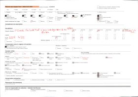 Image représentant Madame Lisette Tual en costume de mariée vue de dos