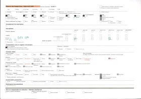 Image représentant Les deux bâtonniers appelés "Chasse-Gueux" de l'église, ancienne cathédrale, Saint-Paul-Aurélien