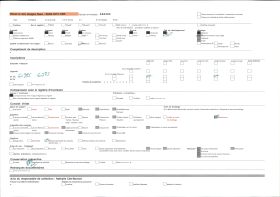 Image représentant Le reposoir de saint Thurien sur le parcours de la Grande Troménie