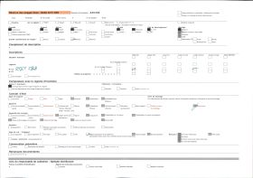 Image représentant Le reposoir de saint Corentin (?) sur le parcours de la Grande Troménie