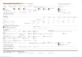 Image représentant Le reposoir de saint Thurien sur le parcours de la Grande Troménie