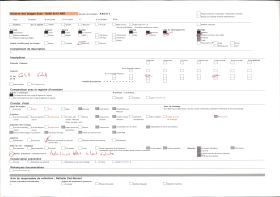 Image représentant Le reposoir de saint Mathurin sur le parcours de la Grande Troménie
