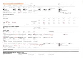 Image représentant Le reposoir de saint Théleau sur le parcours de la Grande Troménie