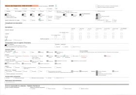 Image représentant Chemin creux et quelques vaches