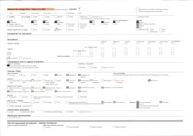Image représentant Des couples de mariés