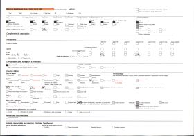 Image représentant Une salle des peintures du musée des Beaux-Arts