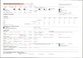 Image représentant France, Villandrant, Les bords du Ciron