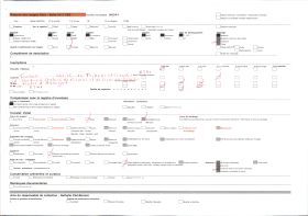Image représentant Statues de Pierre de Fermat et Clémence Isaure