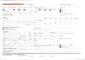 Image représentant La porte du grand perron de l'Hôtel de Bernuy