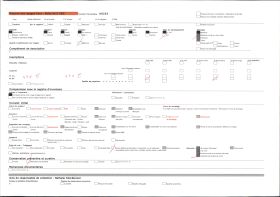 Image représentant Bas-relief polychrome au musée des Augustins