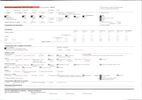 Image représentant La porte des Comtes de la basilique Saint-Sernin