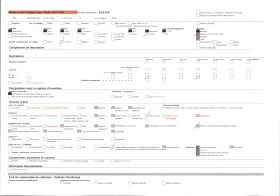 Image représentant Les piliers et le palmier de l'église des Jacobins
