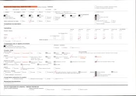 Image représentant Le pont Saint-Pierre, et l'hôpital La Grave en arrière plan