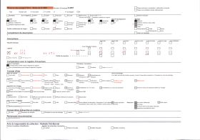 Image représentant La Statue de Notre-Dame de France, au sommet du rocher Corneille