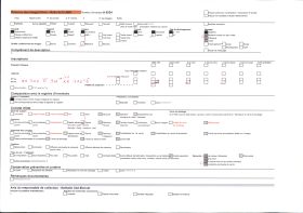 Image représentant Détail d'un chapiteau du cloître de la cathédrale Notre-Dame-de-l'Annonciation