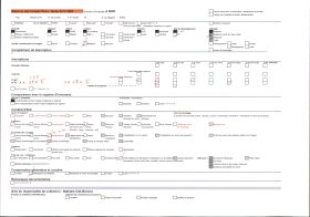Image représentant Vue prise des orgues basaltiques en direction du Puy-en-Velay