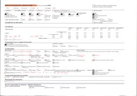 Image représentant Mariel Brunhes posant devant les orgues basaltiques