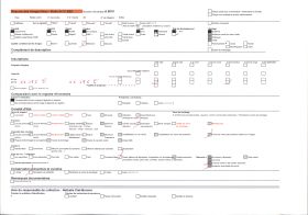 Image représentant Yann Brunhes posant dans les orgues basaltiques