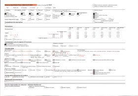 Image représentant Collections lapidaires du musée Crozatier