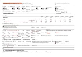 Image représentant Collections lapidaires du musée Crozatier