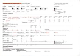Image représentant Collections lapidaires du musée Crozatier