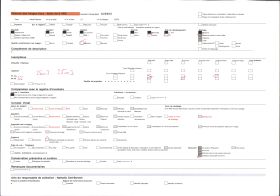 Image représentant France, Les Alpes-Vallée de Chamonix Paysage le long de l'Arve vers le glacier des Bossons