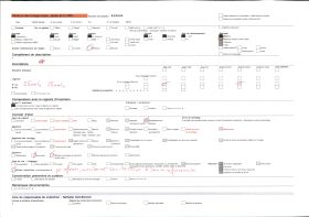 Image représentant France, Les Alpes-Vallée de Chamonix Les Rives de l'Arve en aval de Chamonix