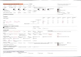 Image représentant France Les Alpes, Les Bossons, Glacier des Bossons, les aiges du Glacier des Bossons à travers les arbres et Aige du Plan