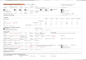 Image représentant France Les Alpes, Les Bossons, Glacier des Bossons, les aiges du Glacier des Bossons à travers les arbre et Aige du Plan