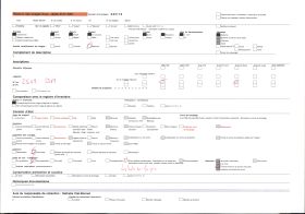 Image représentant France Les Alpes, Vallée de Chamonix, Du Village des Bois : l'Aiguille Verte, l'Aige du Dru à travers les Arbres