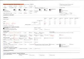 Image représentant France, Le Salève, Végétation s/ le Gd Salève (vue prise le soir)