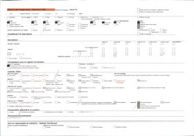 Image représentant France, Arreau, La récolte du foin