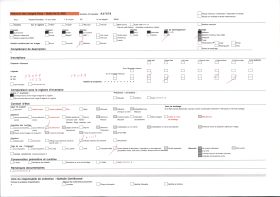 Image représentant France, Lourdes