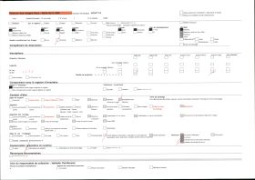 Image représentant France, Lourdes, Ensemble de la Basilique de Ne Dame