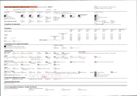 Image représentant France, Moutons au pâturage