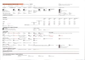Image représentant France, Lourdes, Un groupe d'Arlésiennes venues au Pélérinage