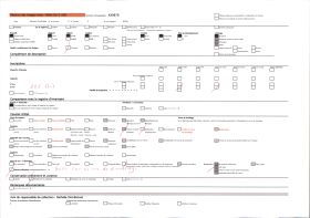 Image représentant France, Lourdes