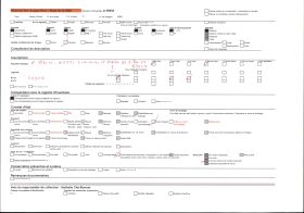 Image représentant Masse romaine et haches de silex