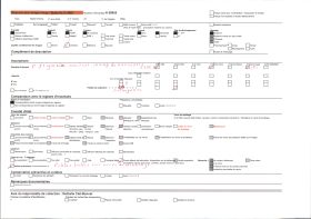 Image représentant Un homme et un enfant cueillant des fleurs dans un champ de narcisses