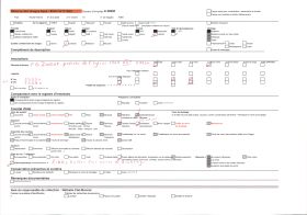 Image représentant Le porche de la collégiale Saint-Pierre