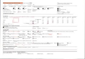 Image représentant Le saut de la Brame
