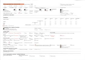 Image représentant Une cheminée de l'aile Louis XII du château