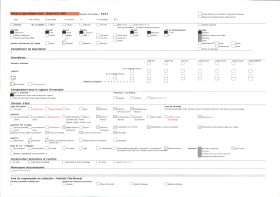 Image représentant Une des cheminées du salon d'honneur de l'aile Louis XII du château
