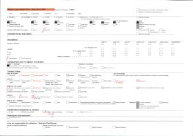 Image représentant La cheminée du salon d'honneur de l'aile Louis XII du château