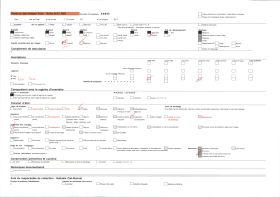 Image représentant Les escaliers et l'ébéniste de la rue Grand Degrés Saint-Louis