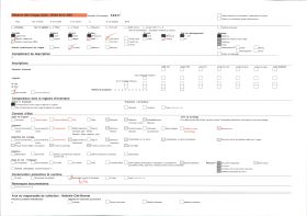 Image représentant L'Hôtel d'Alluye, 8 rue Saint-Honoré