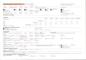 Image représentant Un coin d'étang