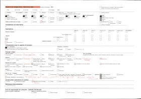 Image représentant La cheminée de la Salamandre, salle du conseil du château