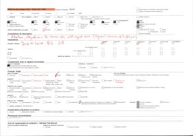 Image représentant Bords du Loiret