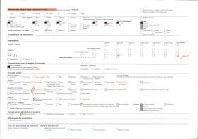 Image représentant La façade de l'hôtel de ville et la maison David, grands magasins de nouveautés